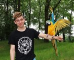 děti se fotí s papouškem