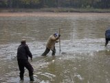 výlov obecního rybníka ve Hvozdci - pohled na rybáře